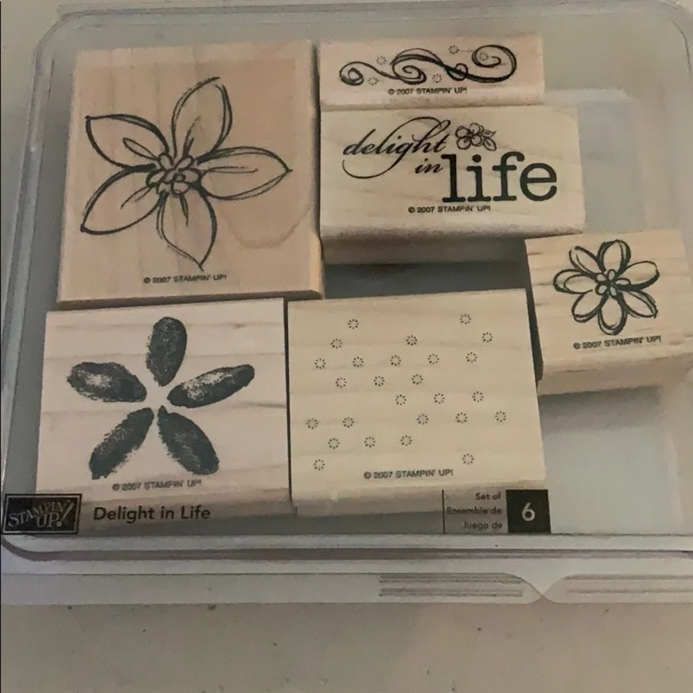 🎭 3/$25 - Stampin Up! Delight in Life hostess set